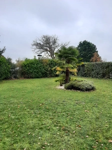 maison familiale 4 chambres et 2 bureaux