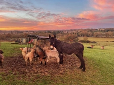 Domaine d'exception au coeur de la campagne, 40 couchages, m