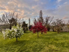 Domaine clos avec 2 maisons, piscine chauffée et dépendances