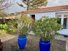 Maison de plain-pied de 83m2 au coeur de Bouin