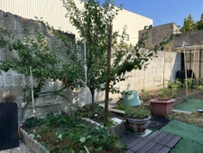 Charmante maison de plain pied 75m2