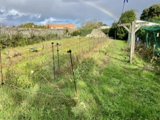 Maison de plain-pied de 83m2 au coeur de Bouin