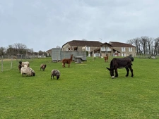 Domaine d'exception au coeur de la campagne, 40 couchages, m