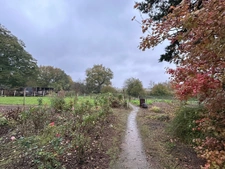 maison a fort potentiel au calme de la campagne de 85m2 - av