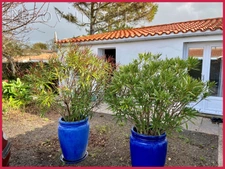 Maison de plain-pied de 83m2 au coeur de Bouin