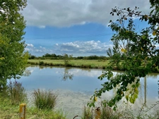 Longère au coeur du marais breton avec dépendances