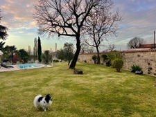 Domaine clos avec 2 maisons, piscine chauffée et dépendances