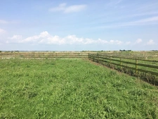 Propriété Équestre de 53ha