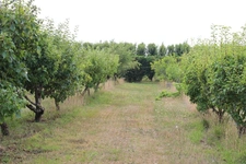 Grange à réhabiliter de 263m2