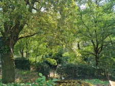 MAISON PROCHE SEVRE 2 chambres