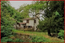 BORD DE SEVRE ATYPIQUE