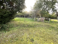 Character property with independent accommodation