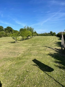 Character Village House 