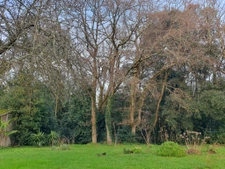 Maison 34m2 sur beau terrain proche plage