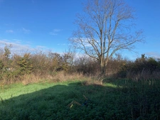 MAISON DE PLAIN-PIED