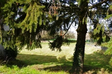  Pavillon de plain-pied 3 CH