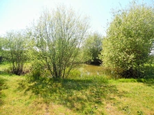 LONGERE RENOVEE DE 198 M2, A 15 MN DE CHOLET