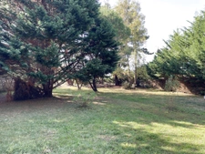 MAISON TRADITIONNELLE PIRIAC PROCHE MER AU CALME GRAND TERRA