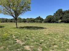 CHAUMIERES SUR TERRAIN 1 HA 43