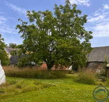 Corps de ferme maison habitation et dépendances en pierre Qu