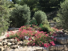 MARETTE : Une demeure d'exception au coeur de l'Ardèche mérid