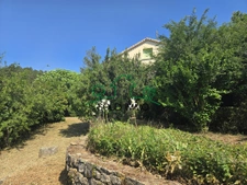 Maison familiale avec beaux volumes, terrasse et fort potent