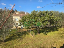 Propriété de 250 m2 avec deux appartements indépendants sur 