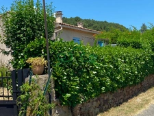 Charmante villa de plain-pied avec jardin verdoyant et doubl