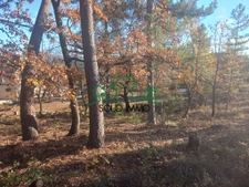 Très beau terrain arboré d'environ 2000m2 dont 810m2 constru