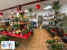 Fonds de commerce Saint Simeon De Bressieux 60 m2