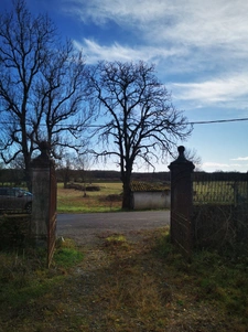 Ancien corps de ferme avec maison bigourdane + 9ha