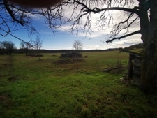 Ancien corps de ferme avec maison bigourdane + 9ha