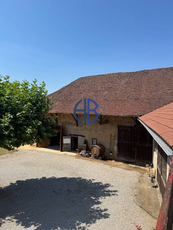 Tènement Immobilier
