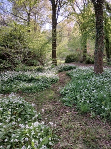 Propriété d'exception  A VENDRE Maison Bois & Pierre 165 m2 