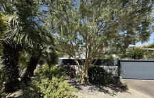 Maison familiale rénovée avec volumes rares   Quartier Saint