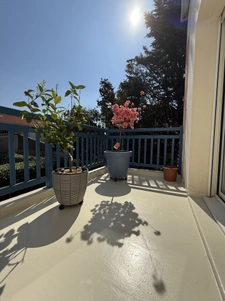 À vendre   Appartement T3   Les Sables d'Olonne