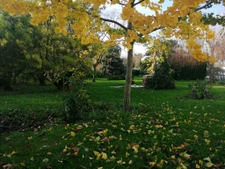 MAISON CHARENTAISE AVEC STUDIO PISCINE DEPENDANCES  247 M2