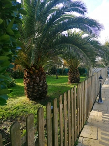 MAISON CHARENTAISE AVEC STUDIO PISCINE DEPENDANCES  247 M2