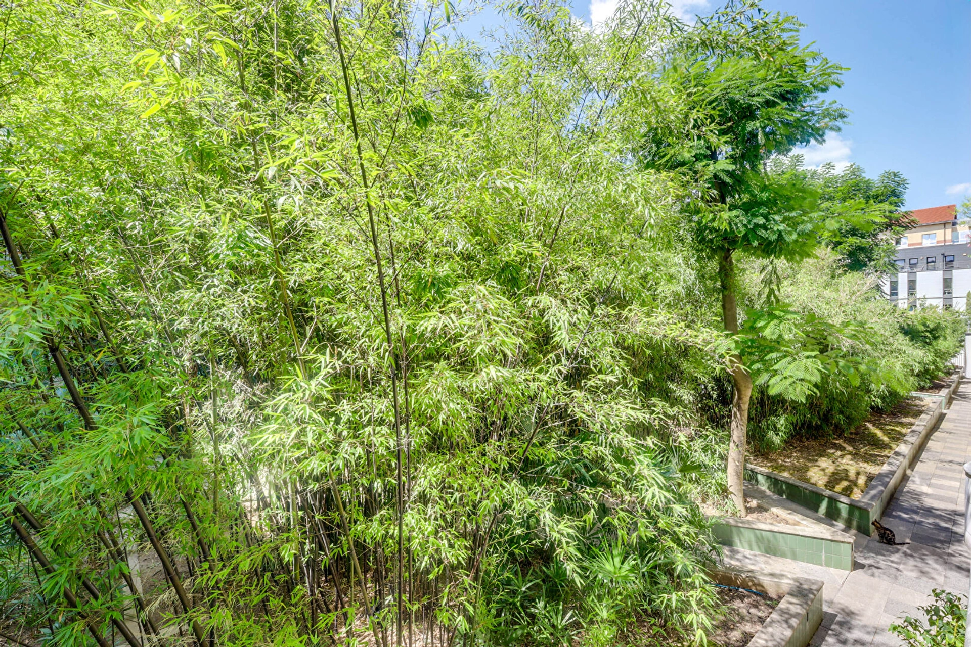 PARIS - 14 - DIDOT 14