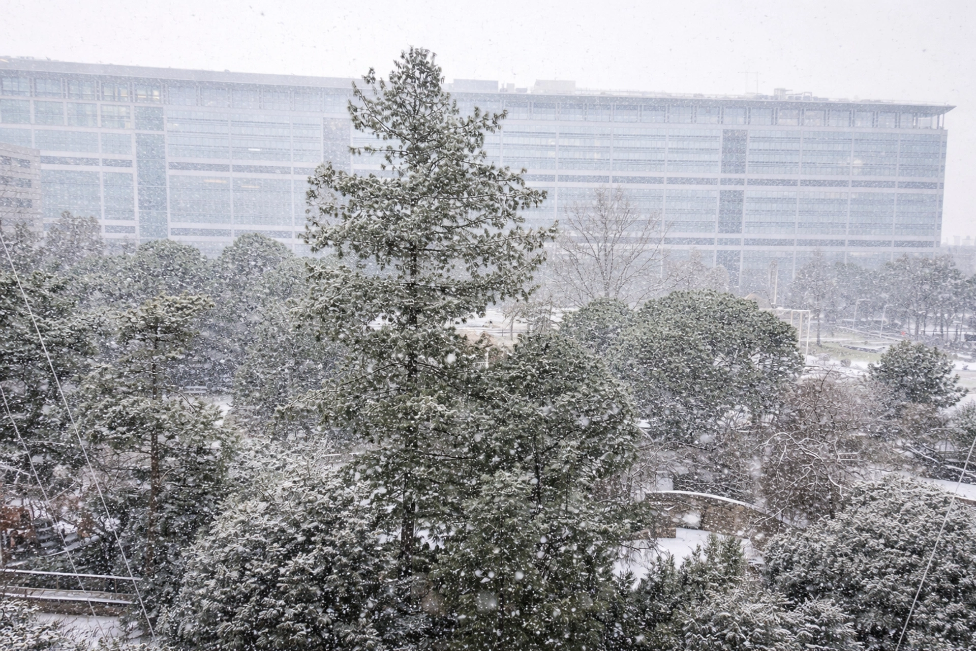 PARIS 14 - MONTPARNASSE 7