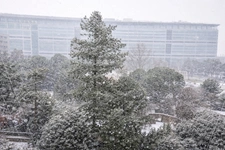 PARIS 14 - MONTPARNASSE 7