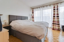 PARIS 15 - RUE LABROUSTE 5