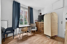 STUDIO -  GROS CAILLOU 1