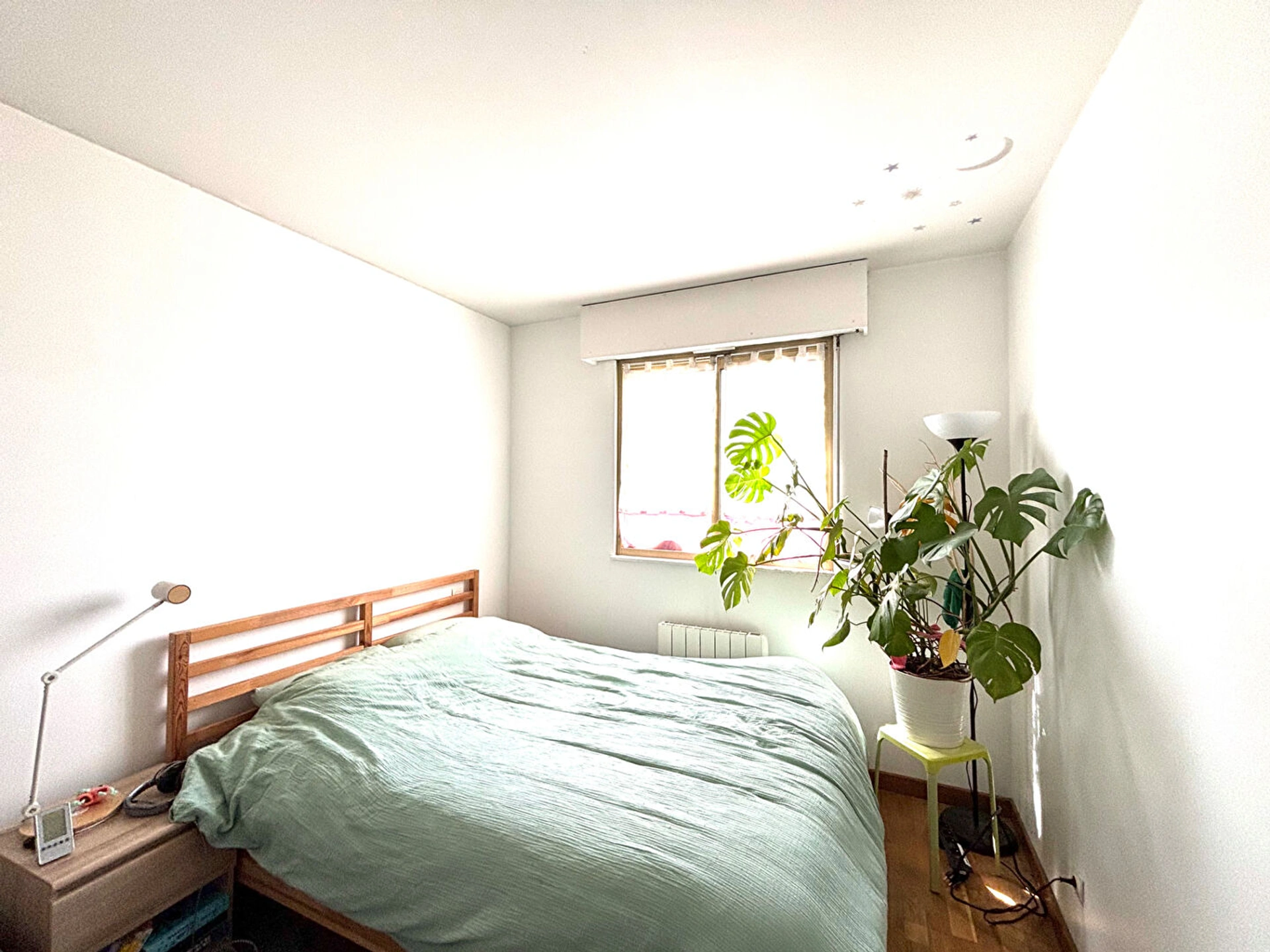 ALFORTVILLE - CLINIQUE VETERINAIRE 4