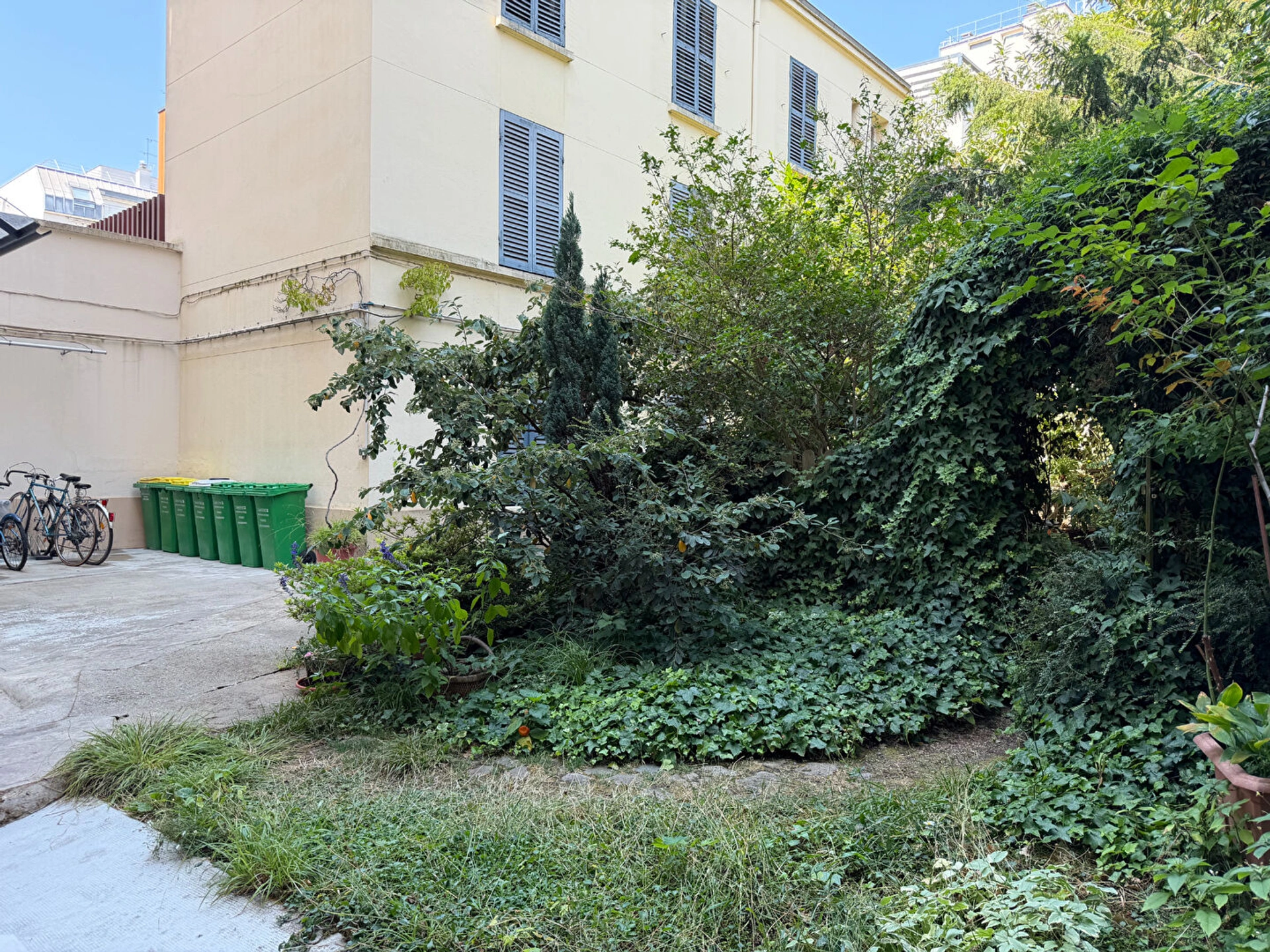 Studio vide - Paris XV - Rue de Javel 7