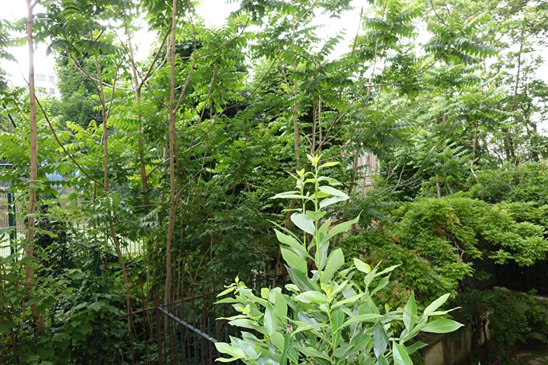 PARIS 15 - RUE LACRETELLE 3