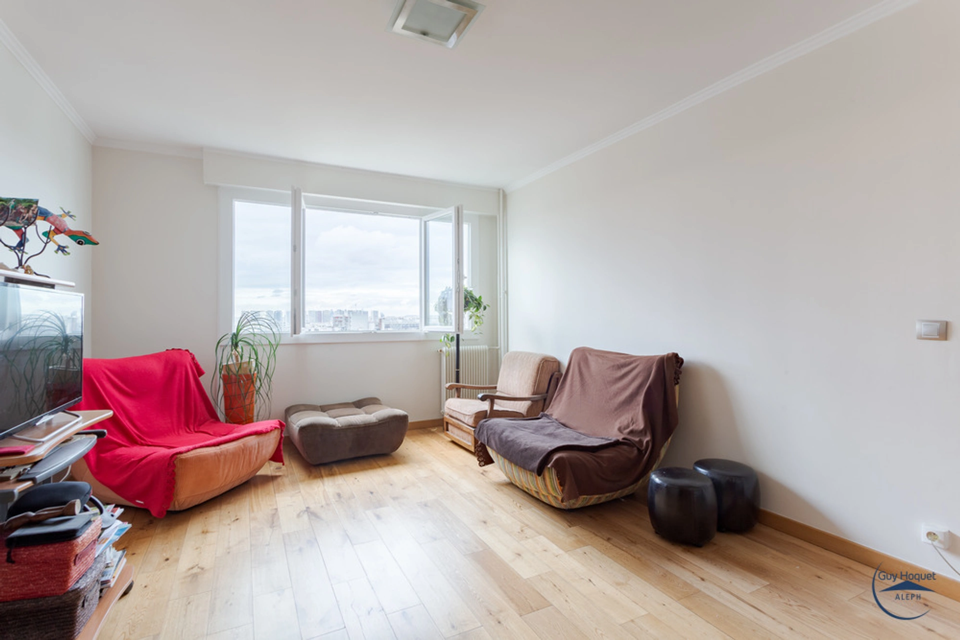 PARIS 15 - RUE CASTAGNARY 1