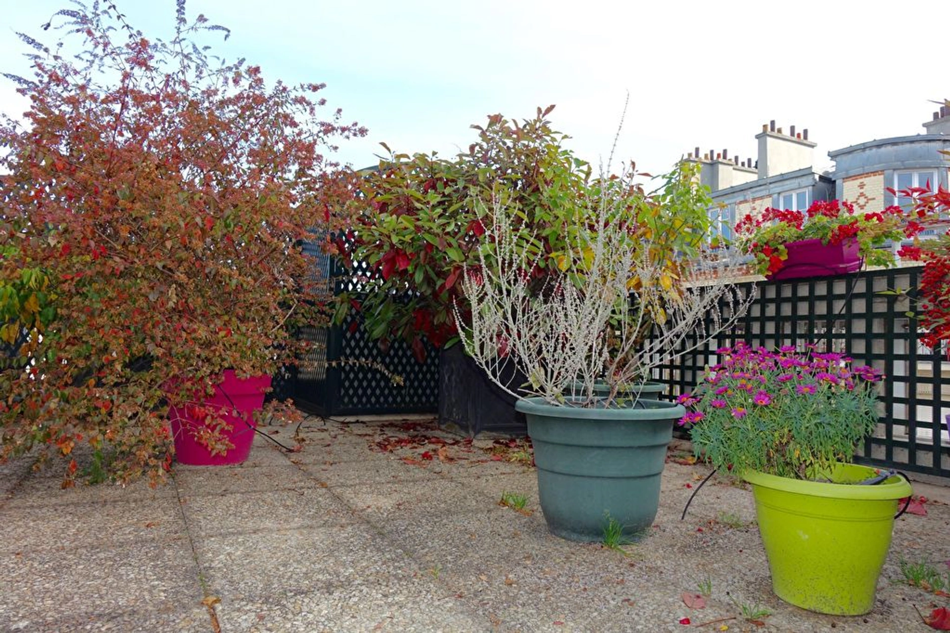 PARIS 15 - RUE VAUGELAS 7