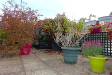 PARIS 15 - RUE VAUGELAS 7