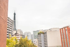 PARIS 15  - RU SAINT-SAENS 8